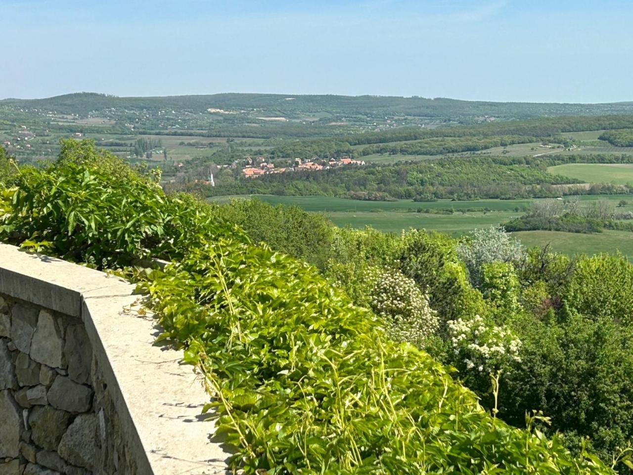 Borbora Borhaz Villa Vaszoly ภายนอก รูปภาพ