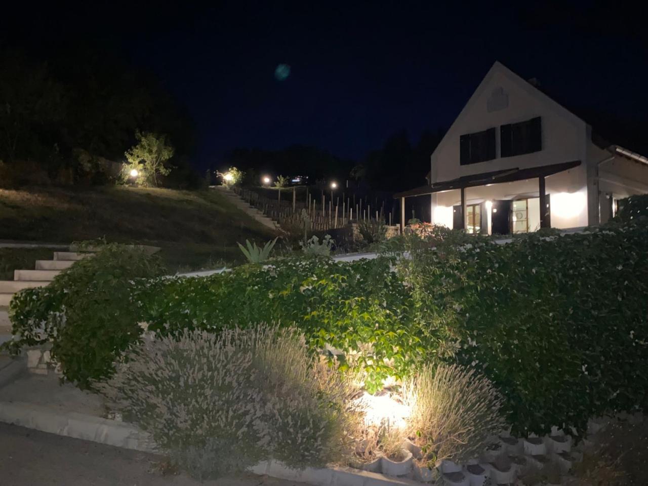 Borbora Borhaz Villa Vaszoly ภายนอก รูปภาพ