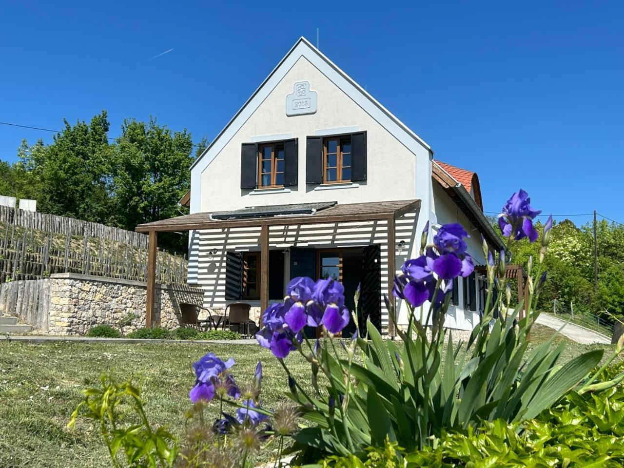 Borbora Borhaz Villa Vaszoly ภายนอก รูปภาพ